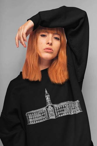 Nassau Hall - Unisex Heavy Blend™ Crewneck Sweatshirt